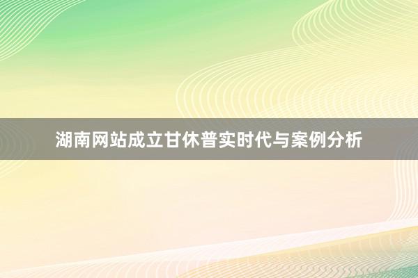 湖南网站成立甘休普实时代与案例分析
