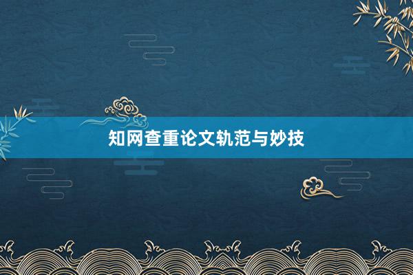 知网查重论文轨范与妙技
