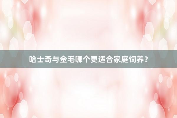 哈士奇与金毛哪个更适合家庭饲养？